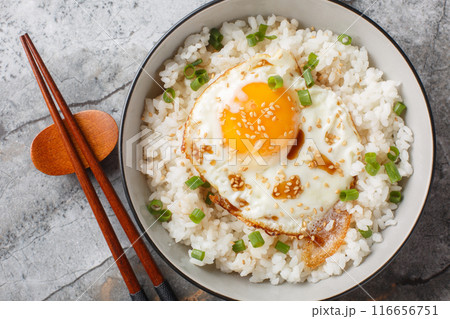 Homemade Asian Fried Egg and Rice Breakfast with Soy Sauce closeup on the bowl. Horizontal top view 116656751