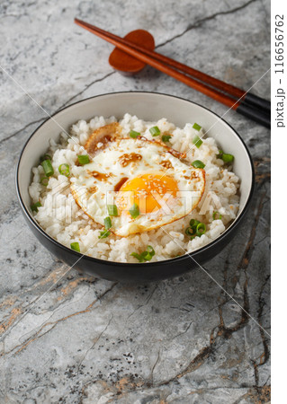 Gyeran Bap Korean Fried Egg Rice with sesame and soy sauce closeup on the bowl. Vertical Gyeran Bap Korean Fried Egg Rice with sesame and soy sauce closeup on the bowl. Vertical 116656762