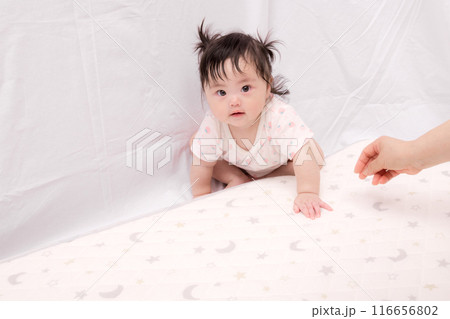 【はいはいを始める髪を結んだ赤ちゃん】 【はいはいを始める髪を結んだ赤ちゃん】 116656802