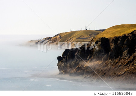 春の海と動く海霧 116656848