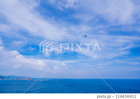 【静岡県】石廊崎の上空を飛ぶヘリコプター 116656912