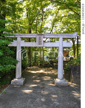 常陸国出雲大社の薬神神社の鳥居 常陸国出雲大社の薬神神社の鳥居 116656919