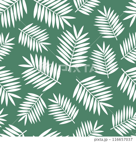 pattern tropical white palm leaves on green 116657037
