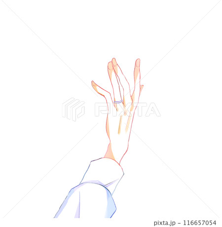 薬指に指輪をした男性の手 116657054