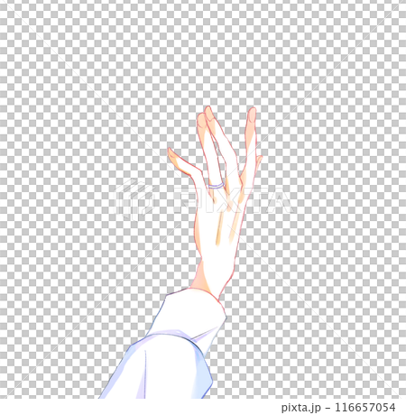 薬指に指輪をした男性の手 116657054