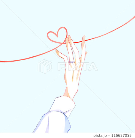 薬指に指輪をした男性の手 116657055