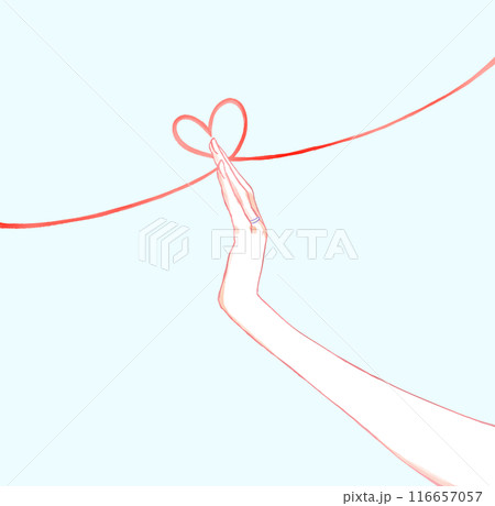 薬指に指輪をした女性の手 薬指に指輪をした女性の手 116657057