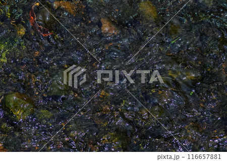 水流が作る模様 風景 水流が作る模様 風景 116657881