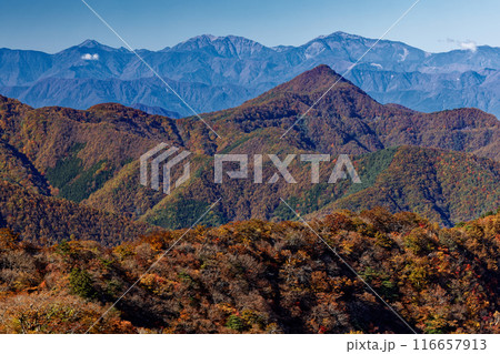 清八山から見る紅葉の釈迦ヶ岳と南アルプスの山並み 清八山から見る紅葉の釈迦ヶ岳と南アルプスの山並み 116657913