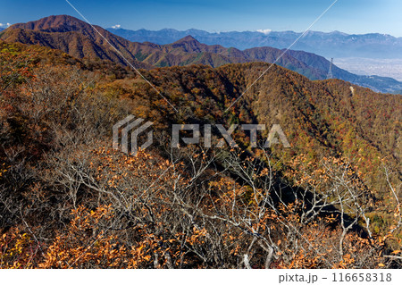 紅葉の清八山からみ御坂山地と南アルプスの眺め 紅葉の清八山からみ御坂山地と南アルプスの眺め 116658318