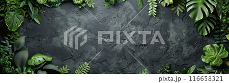 Lush Green Tropical Leaves Bordering a Dark Gray Concrete Background 116658321
