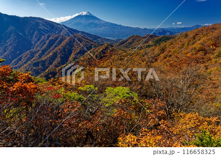 紅葉の本社ヶ丸・造り岩から見る富士山 紅葉の本社ヶ丸・造り岩から見る富士山 116658325