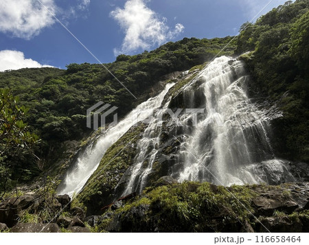 Okono-taki Falls are grand waterfalls representative of Yakushima Island at a height of 88 m. The attractive feature is the sight that changes just after rain because the rainfall runs over bedrock fo 116658464