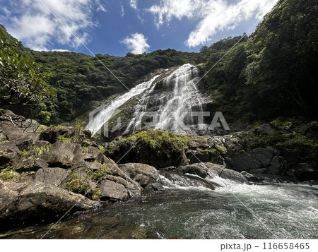 Okono-taki Falls are grand waterfalls representative of Yakushima Island at a height of 88 m. The attractive feature is the sight that changes just after rain because the rainfall runs over bedrock fo 116658465