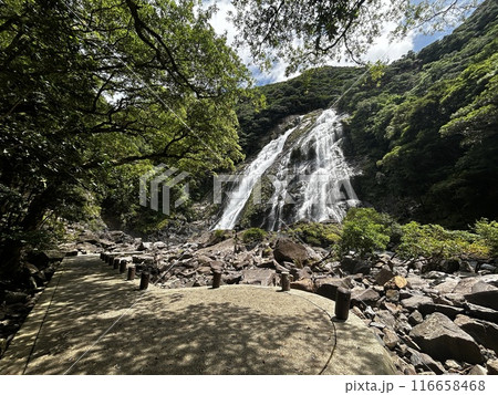 Okono-taki Falls are grand waterfalls representative of Yakushima Island at a height of 88 m. The attractive feature is the sight that changes just after rain because the rainfall runs over bedrock fo Okono-taki Falls are grand waterfalls representative of Yakushima Island at a height of 88 m. The attractive feature is the sight that changes just after rain because the rainfall runs over bedrock fo 116658468