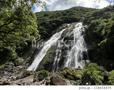 Okono-taki Falls are grand waterfalls representative of Yakushima Island at a height of 88 m. The attractive feature is the sight that changes just after rain because the rainfall runs over bedrock fo Okono-taki Falls are grand waterfalls representative of Yakushima Island at a height of 88 m. The attractive feature is the sight that changes just after rain because the rainfall runs over bedrock fo 116658474