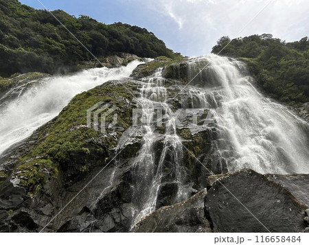 Okono-taki Falls are grand waterfalls representative of Yakushima Island at a height of 88 m. The attractive feature is the sight that changes just after rain because the rainfall runs over bedrock fo 116658484
