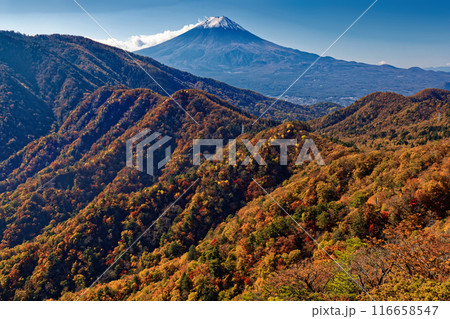 紅葉の本社ヶ丸・造り岩から見る富士山 紅葉の本社ヶ丸・造り岩から見る富士山 116658547