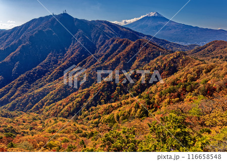 紅葉の本社ヶ丸・造り岩から見る富士山 紅葉の本社ヶ丸・造り岩から見る富士山 116658548