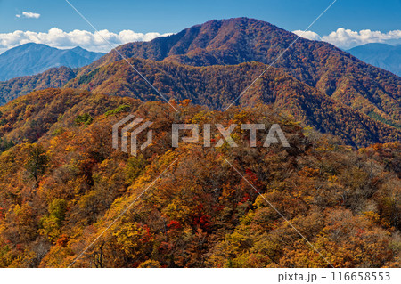 本社ヶ丸稜線から見る紅葉の御坂黒岳 本社ヶ丸稜線から見る紅葉の御坂黒岳 116658553