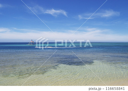 沖縄の離島の海 116658841