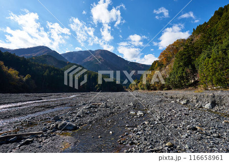 山梨県　大城川砂防ダム上流の紅葉 116658961