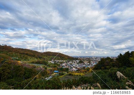 神奈川県　弘法山からの秦野市街 116658983
