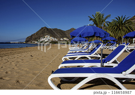 sandy beach with sun loungers on the island of tenerife. Canary Islands. Spain. 116658987