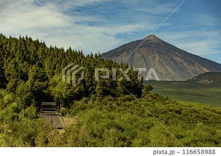 Route to the Teide volcano.Tenerife island, Canary archipelago. Spain 116658988