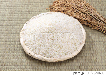 ザルに盛られた白米 116659024