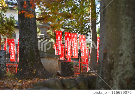 中山道深谷宿：西嶋稲荷神社　深谷市田所町 116659076