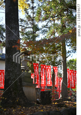 中山道深谷宿:西嶋稲荷神社 深谷市田所町 中山道深谷宿:西嶋稲荷神社 深谷市田所町 116659077