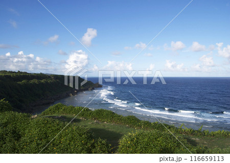 沖縄の海岸 116659113