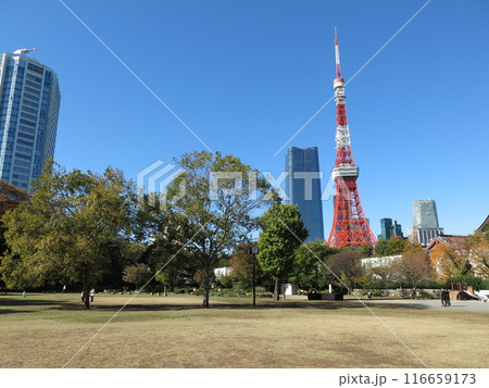 東京タワーや麻布台ヒルズ森JPタワーが背後にそびえ立つ港区立芝公園(芝生広場) 東京タワーや麻布台ヒルズ森JPタワーが背後にそびえ立つ港区立芝公園(芝生広場) 116659173