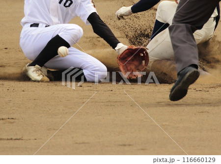 クロスプレー 116660129