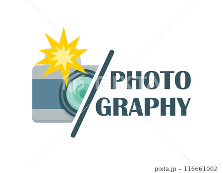 Camera icon in flat style. Photography vector illustration on isolated background. Photo sign business concept. 116661002