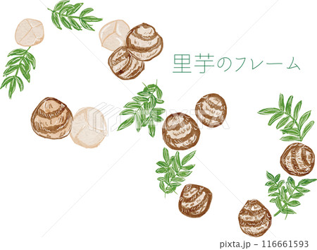 水彩で描いたオシャレでかわいい里芋のフレームイラスト素材 116661593