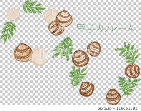 水彩で描いたオシャレでかわいい里芋のフレームイラスト素材 116661593