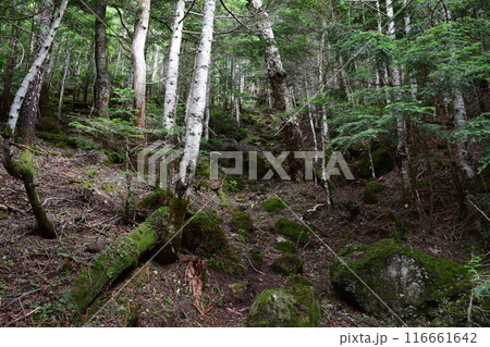 日光連山 116661642