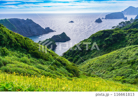 【静岡県】ユウスゲ咲く、奥石廊崎の夕景 116661813