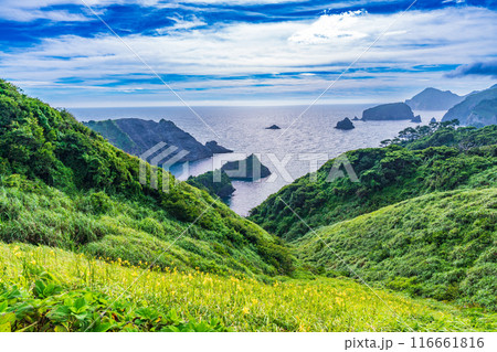 【静岡県】ユウスゲ咲く、奥石廊崎の夕景 【静岡県】ユウスゲ咲く、奥石廊崎の夕景 116661816