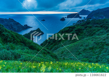 【静岡県】ユウスゲ咲く、奥石廊崎の夕景 【静岡県】ユウスゲ咲く、奥石廊崎の夕景 116661822