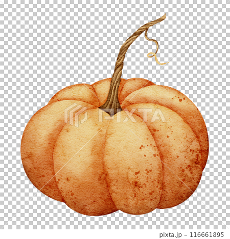 Watercolor Pumpkin Illustration with Stem for Autumn and Halloween Designs. Drawing of orange Gourd on isolated background for Harvest festival invitations. Painting of seasonal vegetable. Watercolor Pumpkin Illustration with Stem for Autumn and Halloween Designs. Drawing of orange Gourd on isolated background for Harvest festival invitations. Painting of seasonal vegetable. 116661895
