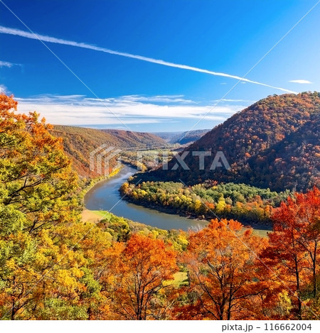 紅葉した山の景色と青空 116662004