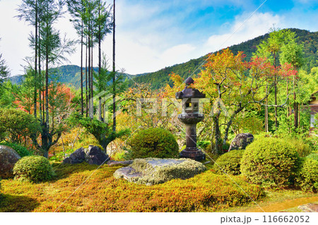 大原　実光院　美しい秋の庭（京都市左京区） 116662052