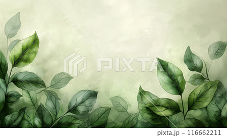Watercolor drawing sophisticated leaf design on soft green background with ample copy space, backdrop for spring promotions 116662211