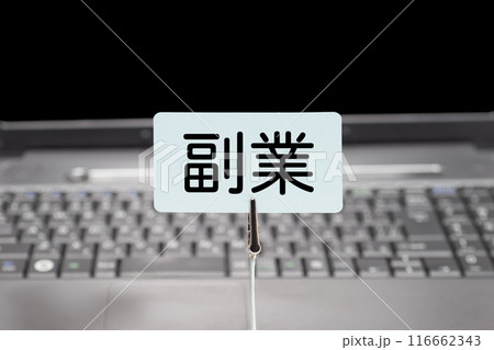 ノートパソコンと副業のイメージ 116662343