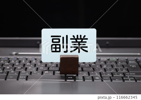 ノートパソコンと副業のイメージ ノートパソコンと副業のイメージ 116662345