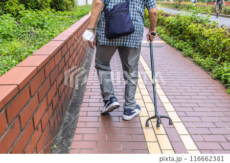 日本の横浜都市景観 手放せないマスク…高齢化社会…呪縛・妄想・妄信の解放まではまだ＝横浜市内 116662381