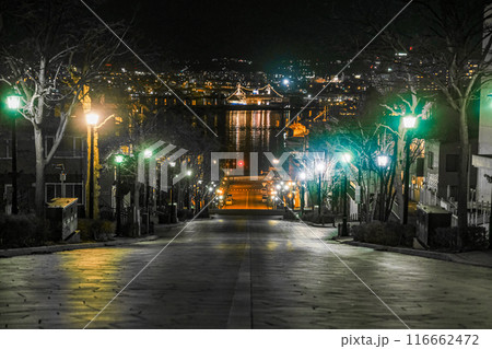 【#函館】八幡坂から見た夜景 116662472